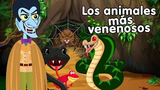 Los animales mas venenosos - Canciones infantiles by Doremila 3,211,789 views 4 years ago 3 minutes, 51 seconds