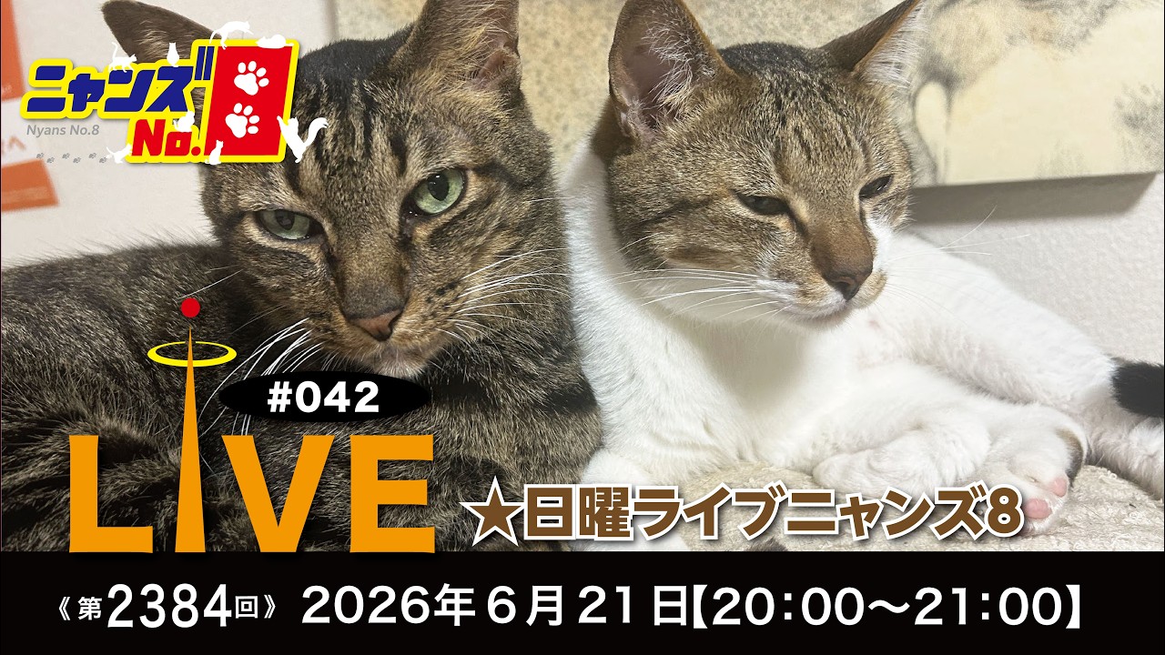 No. 2384》LIVE#042 ☆Sunday Live: The 8 Cats - YouTube