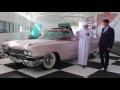 Flat out  cheikh hamads private car collection