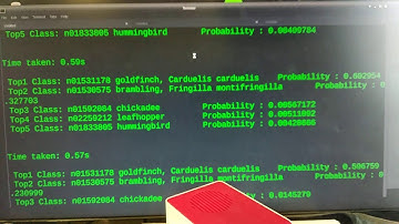 Image Classifier on Raspberry Pi 4