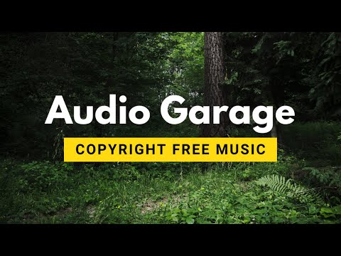 Scott Buckley – Chasing Daylight || Emotional Neoclassical Copyright Free Music