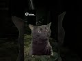 When the game mimics you.  #twitch #funnystreammoments #twitchstreamer #gamergirl