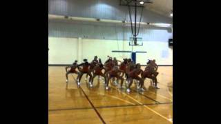 cheer HomePom