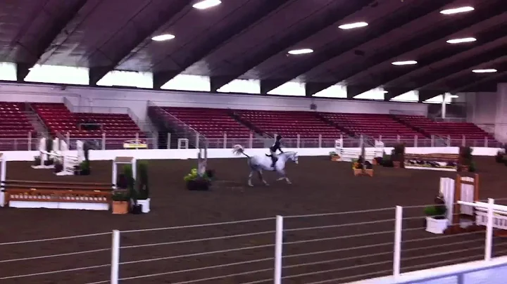 Nicole Musser and Triple Crown in junior hunters 1...