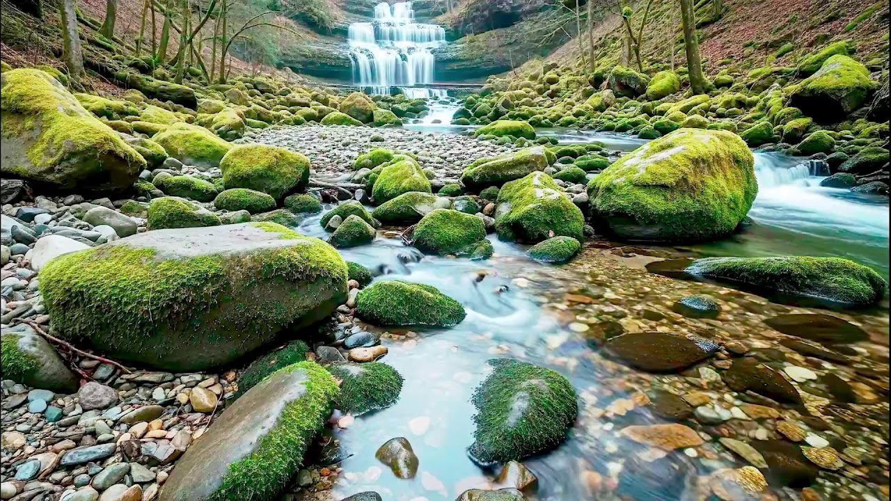 Natural River Sound for Deep Sleep | Stress Relief Audio for Health & Mindfulness