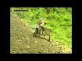 Hillclimb Rachau Highlights 1995-2000 # Part 3