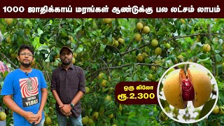 18 ஏக்கரில் ஜாதிக்காய் விவசாயம்… ஆண்டுக்கு பல லட்சம் வருமானம் அசத்தும் சகோதரர்கள் | GP Farms