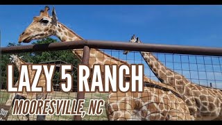 LAZY 5 RANCH | MOORESVILLE, NC #lazy5ranch #wildlife #mooresvillenc