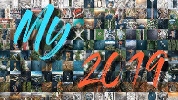 My 2019