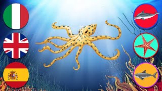 GUESS the animals in the sea 🇮🇹 Italian 🇬🇧English 🇪🇸 Spanish with Lucilla, Daisy Dot and Luli Pampín screenshot 5