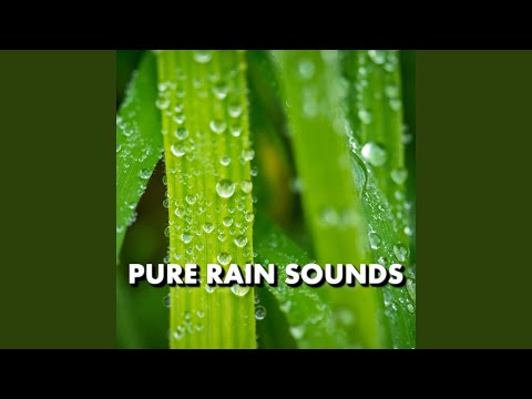 Distinct Sunset Rain Sounds