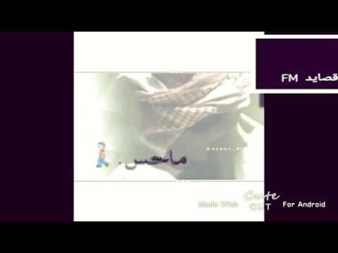 شيله عليم النوايا