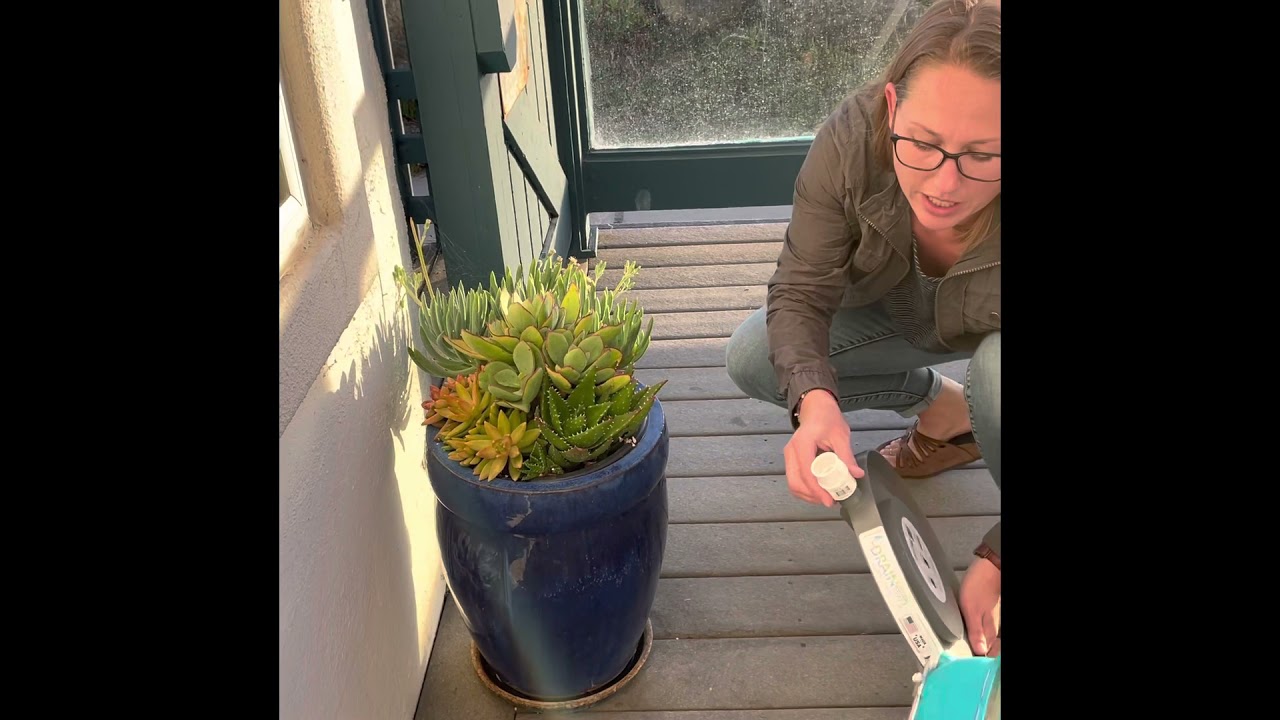 How to switch out your plant saucer for a Drain Away Drain Tray