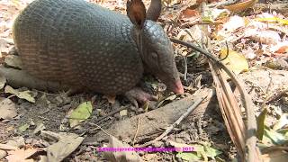 Tourinhos, Sao Miguel do Gostoso, RN, Brasil by André Hedinger 3,376 views 6 years ago 16 minutes