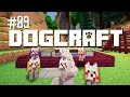 The Creeper Simulator | Dogcraft (Ep.89)