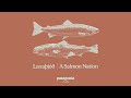 Laxaj  a salmon nation  patagonia films