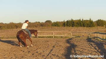 Rockin N Playin - working the flag #2 - ValleyViewRanch.net