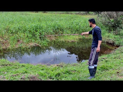 Vídeo: Pescar Um Lago No Interior