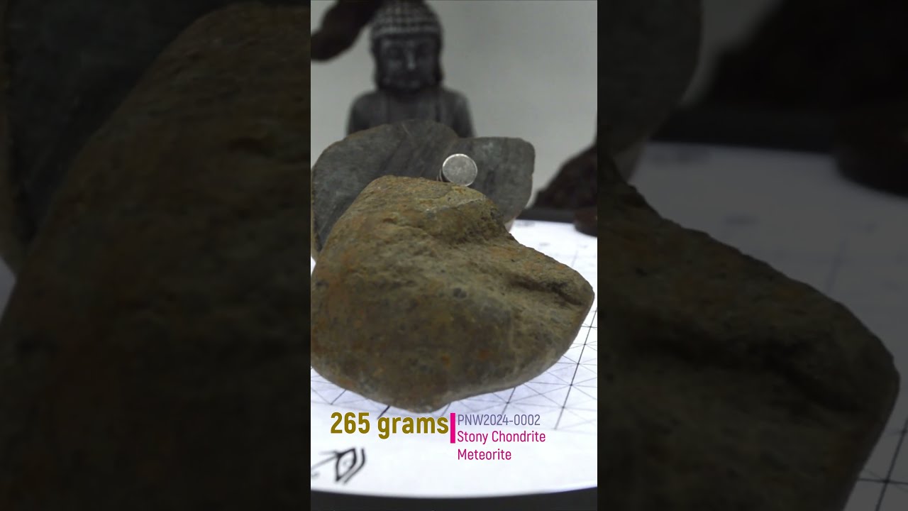 NEW 264g Carbonaceous Chondrite Meteorite - PNW2024-0002