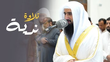 أجمل وأروّع تلاوات بصوت عذبة لفضيلة الشيخ حمزة معاذ مغرب 20-5-1446 هـ