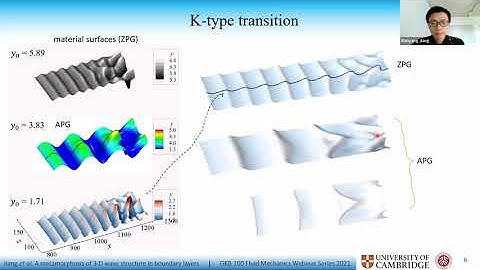 A metamorphosis of three-dimensional wave structure in transitional and turbulent: Xianyang Jiang