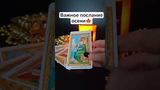 ВАЖНОЕ ПОСЛАНИЕ ОСЕНИ🔥🍁Гадание таро онлайн