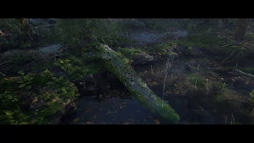 UE4 Forest Rain Environment