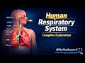 Human Respiratory 🩻System Explanation In Hindi || Human Respiratory System kaise Kaam Karta hain || 