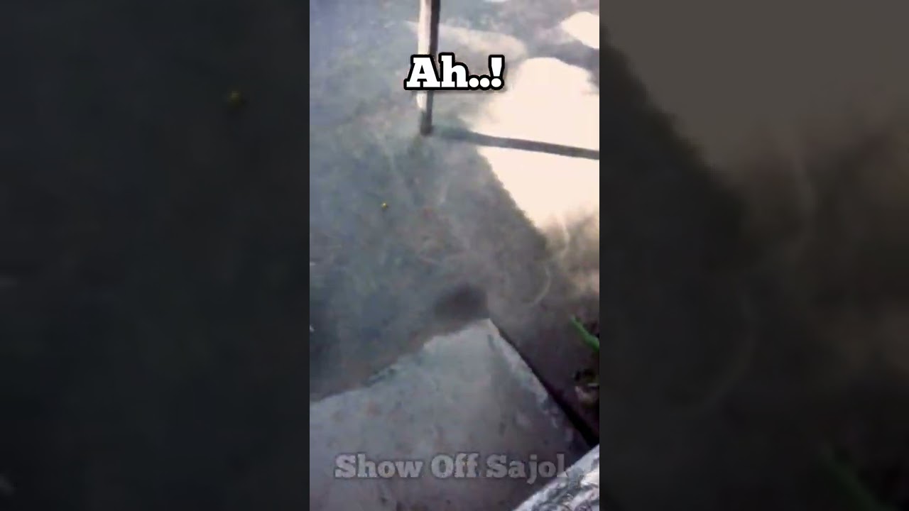 Fruit accident 😃 | Show Off Sajol 