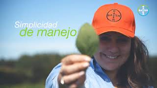 18 Susana Giacomelli Intacta 480Sd