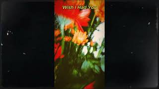 (FREE) Indie x Dominic Fike Pop x Country Guitar Type Beat "Wish I Had You" - Bedroom Pop Type Beat