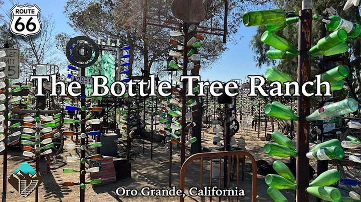 Exploring Elmer's Bottle Tree Ranch on Historic Ro...