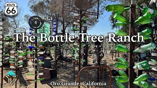 Exploring Elmer's Bottle Tree Ranch on Historic Route 66