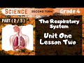 Science | Grade 4 | Unit 1 Lesson 2 - Part 2 - The Respiratory System