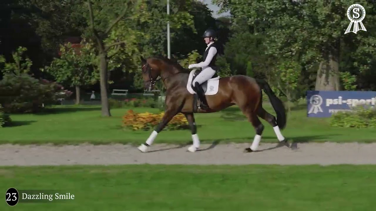 Kat 23 Dazzling Smile ENG