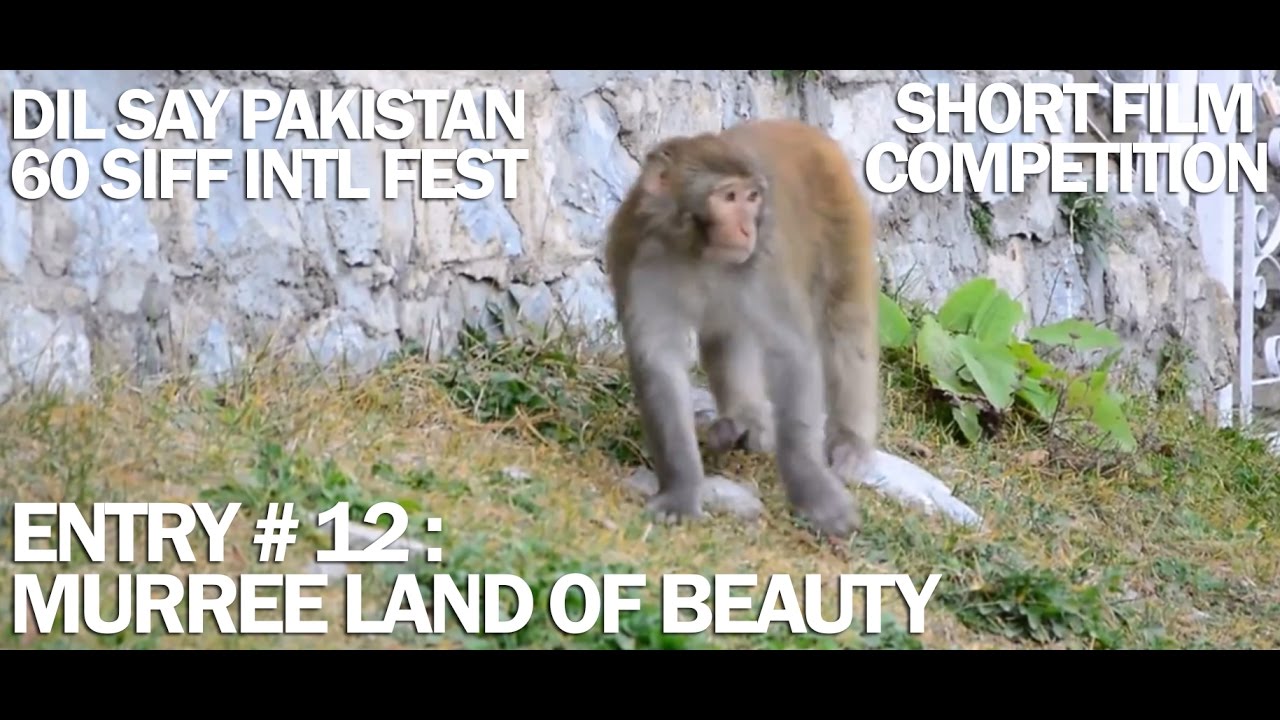 Dil Say Pakistan Short Film Competition : Murree, The Land of Beauty - Sameera Zafar