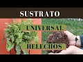 Cómo Preparar un Sustrato Universal* para Todo Tipo de Helechos