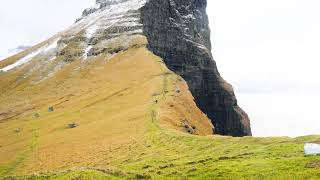 Alpine Meadows: Where the Mountain Wind Dances with the Grass