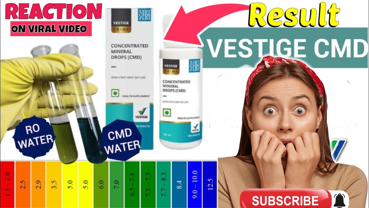 Vestige CMD Result Vestige CMD Result Vestige CMD Vestige cmd result vestige cmd result vestige cmd