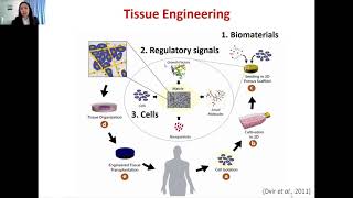 Nerve Guides as Nerve Tissue Engineering Biomaterials