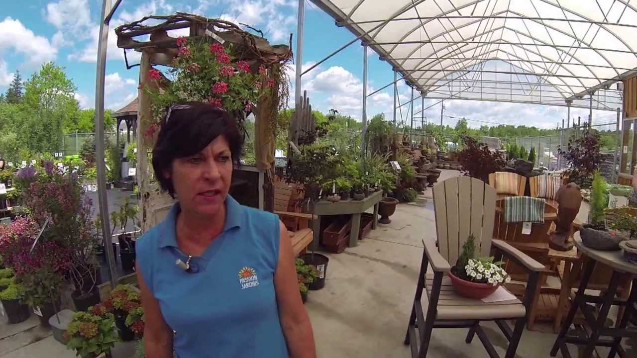 The Review Undercover - Legault Greenhouses