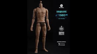 Worldbox Pro Male Body