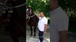 Bu Otning Ismi Sakb... Buning Manosini Bilasizmi..?