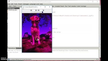Arrays and Tracing Dr. Java