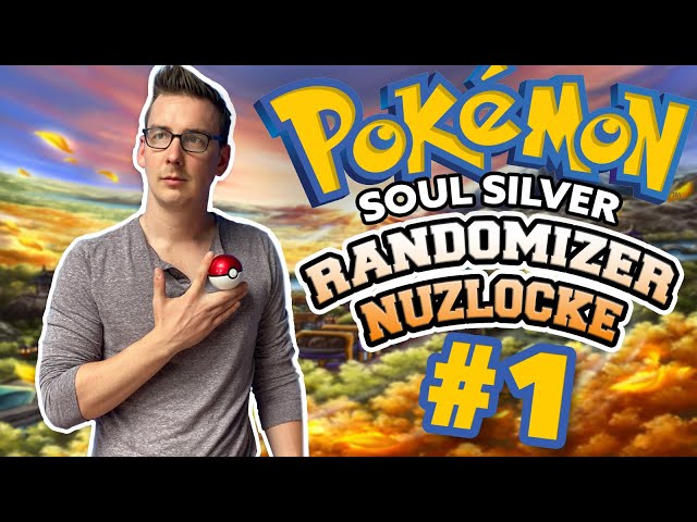 Started a Soul Silver Soul Link Randomizer (similar strength) Nuzlocke on  the 31st, went at it hard for 4 days. We had to pause right before the 8th  gym, here are our