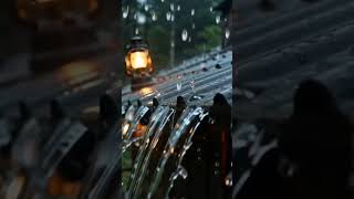 🌧️ Rain on a Tin Roof Hits Different 😴💙