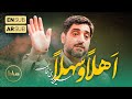 حاج سید مجید بنی فاطمه مولودی شور أهلا و سهلا امام من امیر من