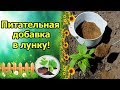 ДЕШЕВАЯ ОРГАНИЧЕСКАЯ ДОБАВКА В ЛУНКУ ПРИ ПОСАДКЕ ПЕРЦА!