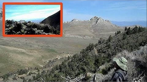 FREE Split Screen Video Editor  for Windows