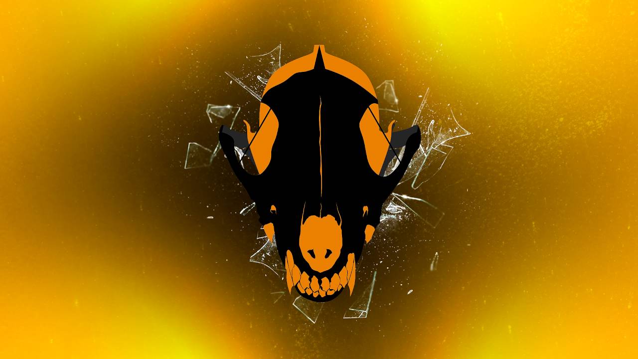 Salty Loins - Raiding the admin base